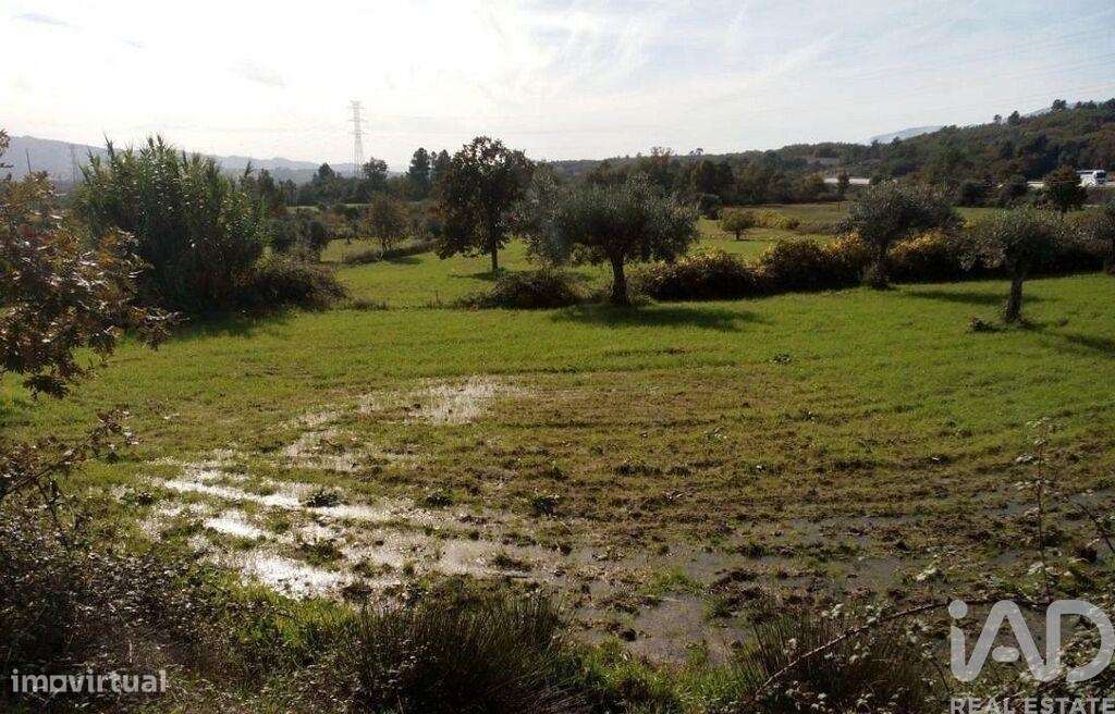 Terreno Agrícola em Peraboa de 130000,00 m2 - Grande imagem: 5/28