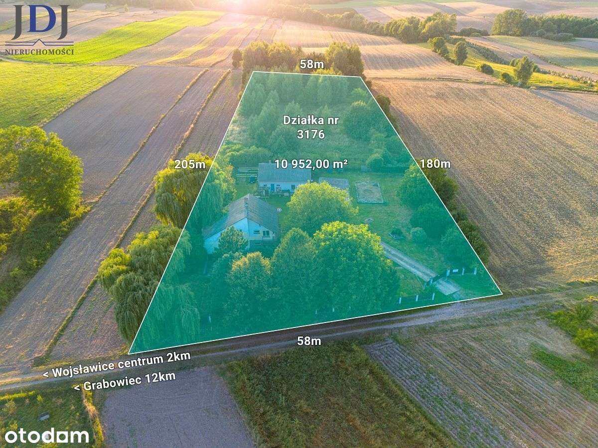 Dom piętrowy z lasem i uroczą działką.Wojsławice. - Pełny obrazek: 4/20