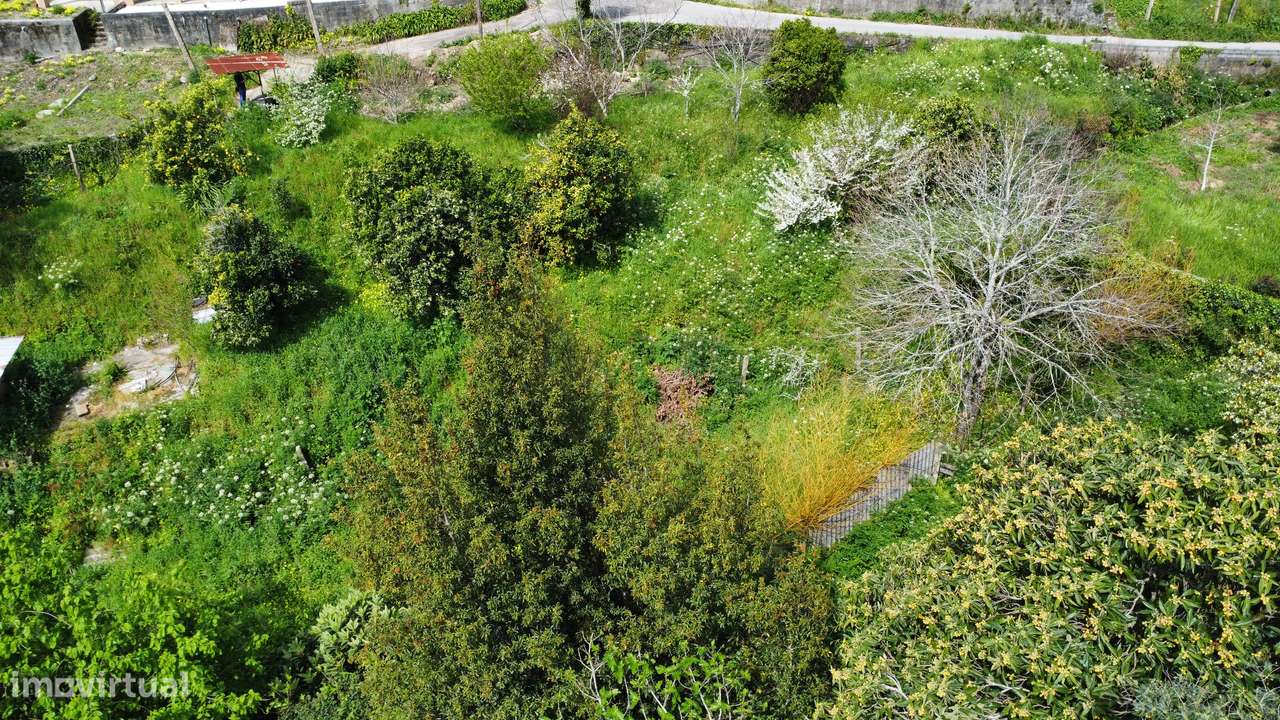 Terreno, 1 150 m², Pessegueiro do Vouga - Grande imagem: 4/13