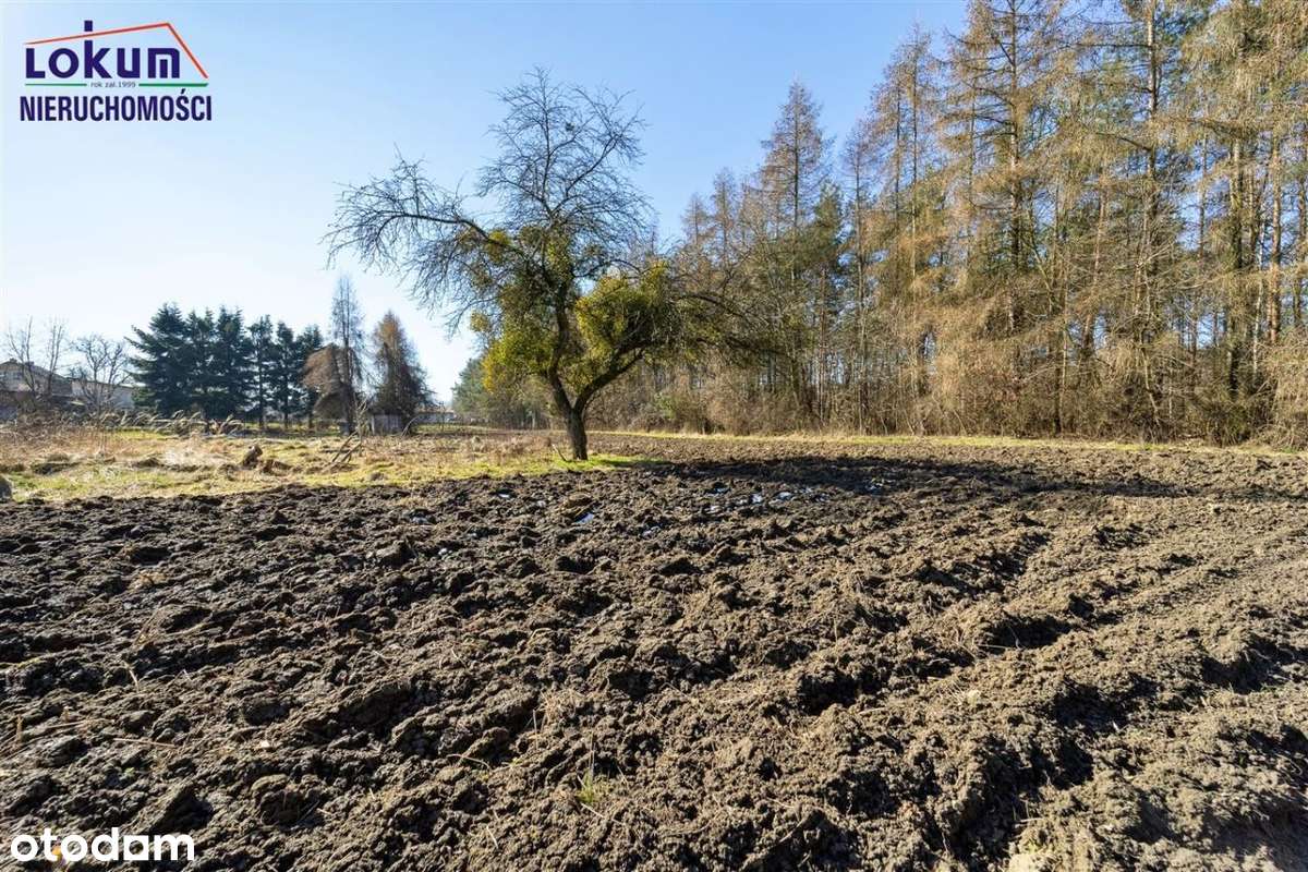 Kiczyce - działka blisko Skoczowa - Pełny obrazek: 2/14