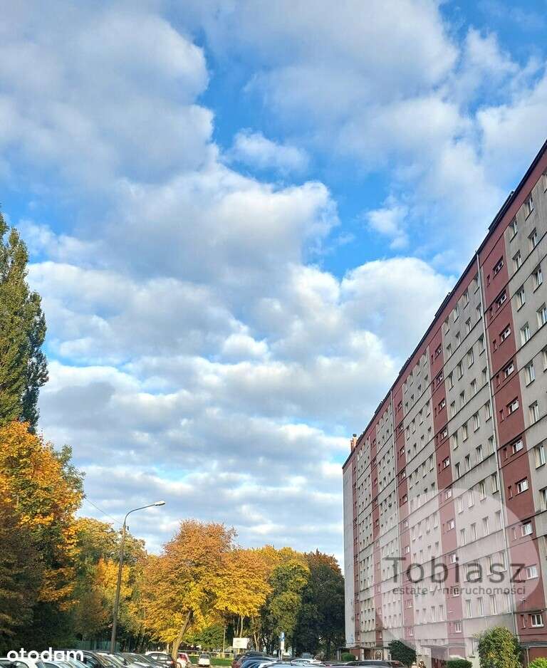 2 pokoje, osobna kuchnia, po remoncie/ os. Strusia-4