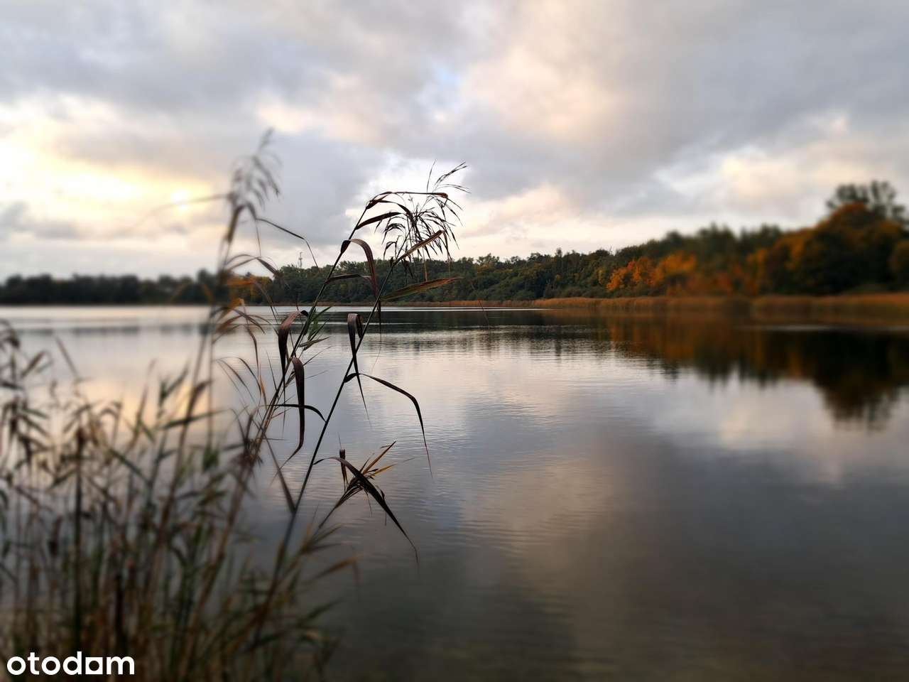 Unikatowe 3-pokojowe mieszkanie z bezpośrednim widokiem na jezioro ! - Pełny obrazek: 3/9