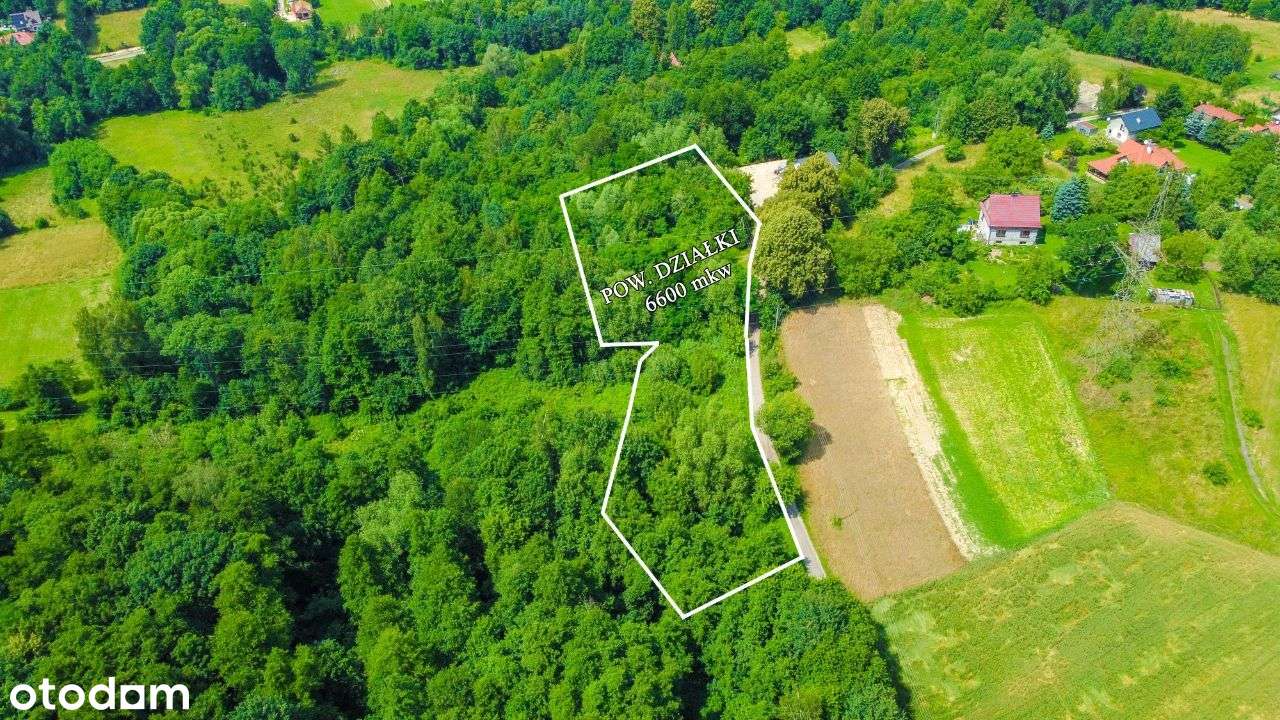 NOWY MPZP 1050mkw Budowlana + Własny Leśny Zakątek-1