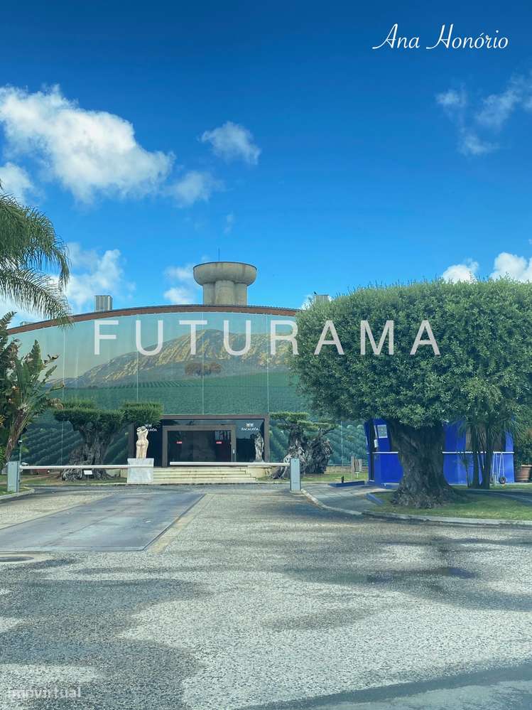 MORADIA ENTRE CAMPO E O MAR T4 + 1 - Azeitão-1