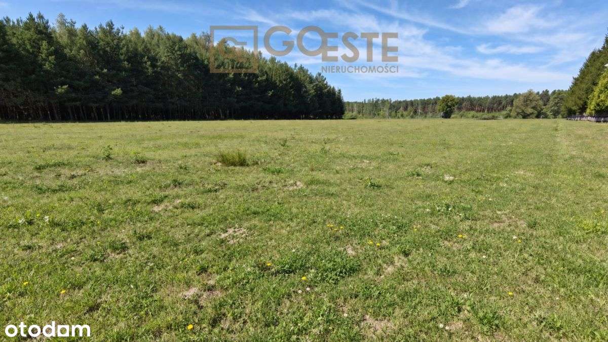 Działka budowlana 4900 m2, 20 minut od Warszawy-3