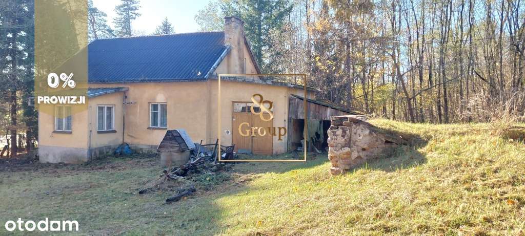 Siedlisko w sercu natury otoczone urokliwym lasem-1