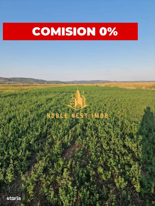 TEREN 2353 MP – UDENI-ZĂVOI, JUD. ARGEȘ | COMISION 0%-0