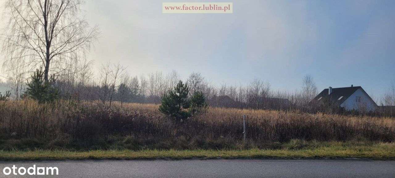 Działka 4585 m2 Wólka Krasienińska-1