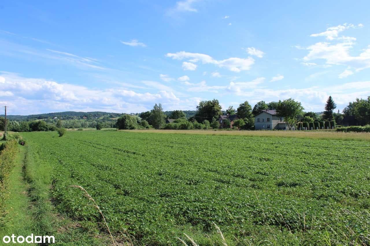 Winiary (gm. Gdów) działka budowlana z dużym potencjałem inwestycyjnym-3
