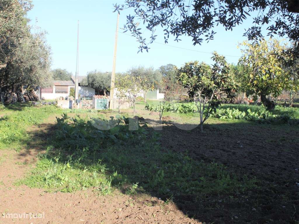 Quinta para venda em Oledo, Idanha-a-Nova, Portugal-13