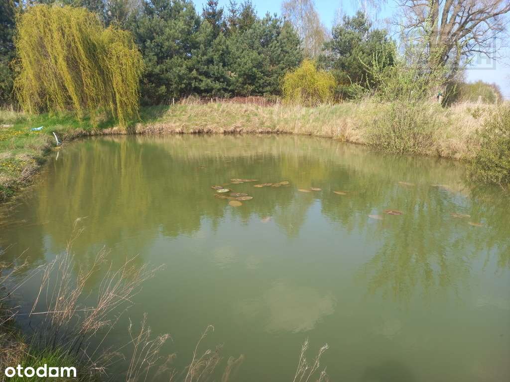 Działka-rolno budowlana Pniewy 15100 m² - View 5