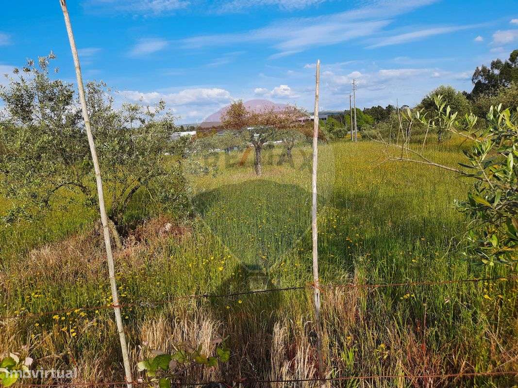 Terreno  para venda - Grande imagem: 5/12