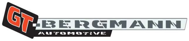 INTER-BERG logo