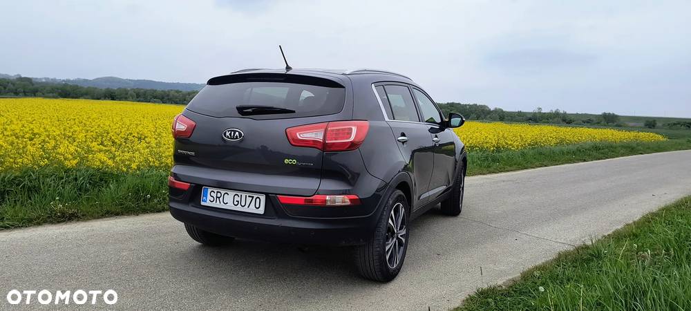 Kia Sportage - 39