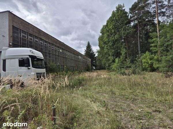 Lokal użytkowy, 5 024,50 m², Pionki-12