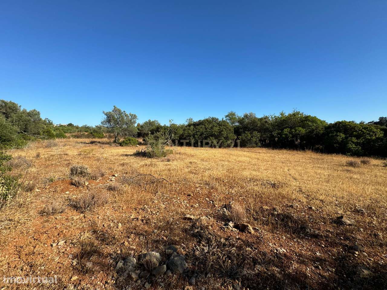 Terreno Agrícola para Venda – Santa Catarina, Tavira com 10.320 m2, - Grande imagem: 5/16