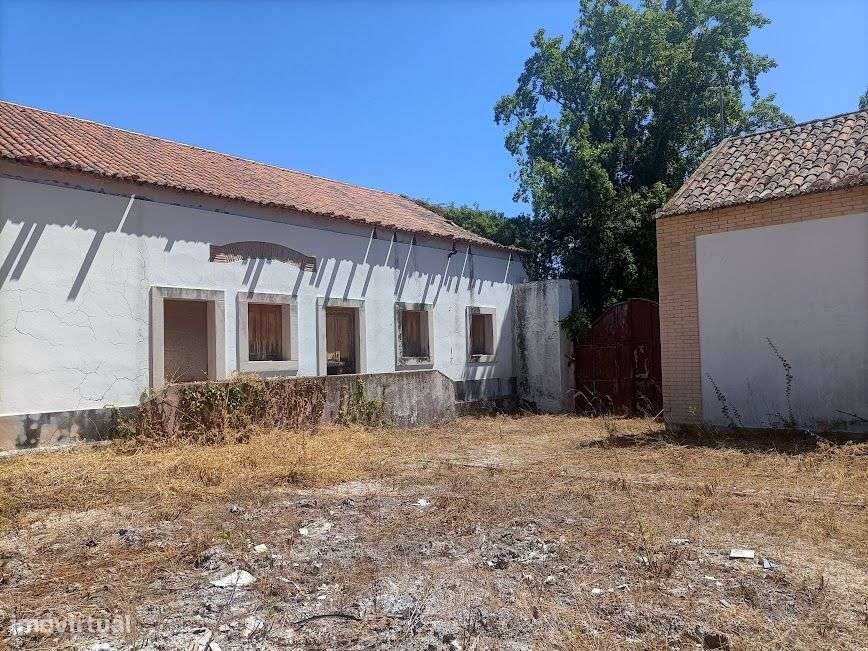 Quintinha em plena lezíria ribatejana, ideal para projeto turístico! - Grande imagem: 3/36