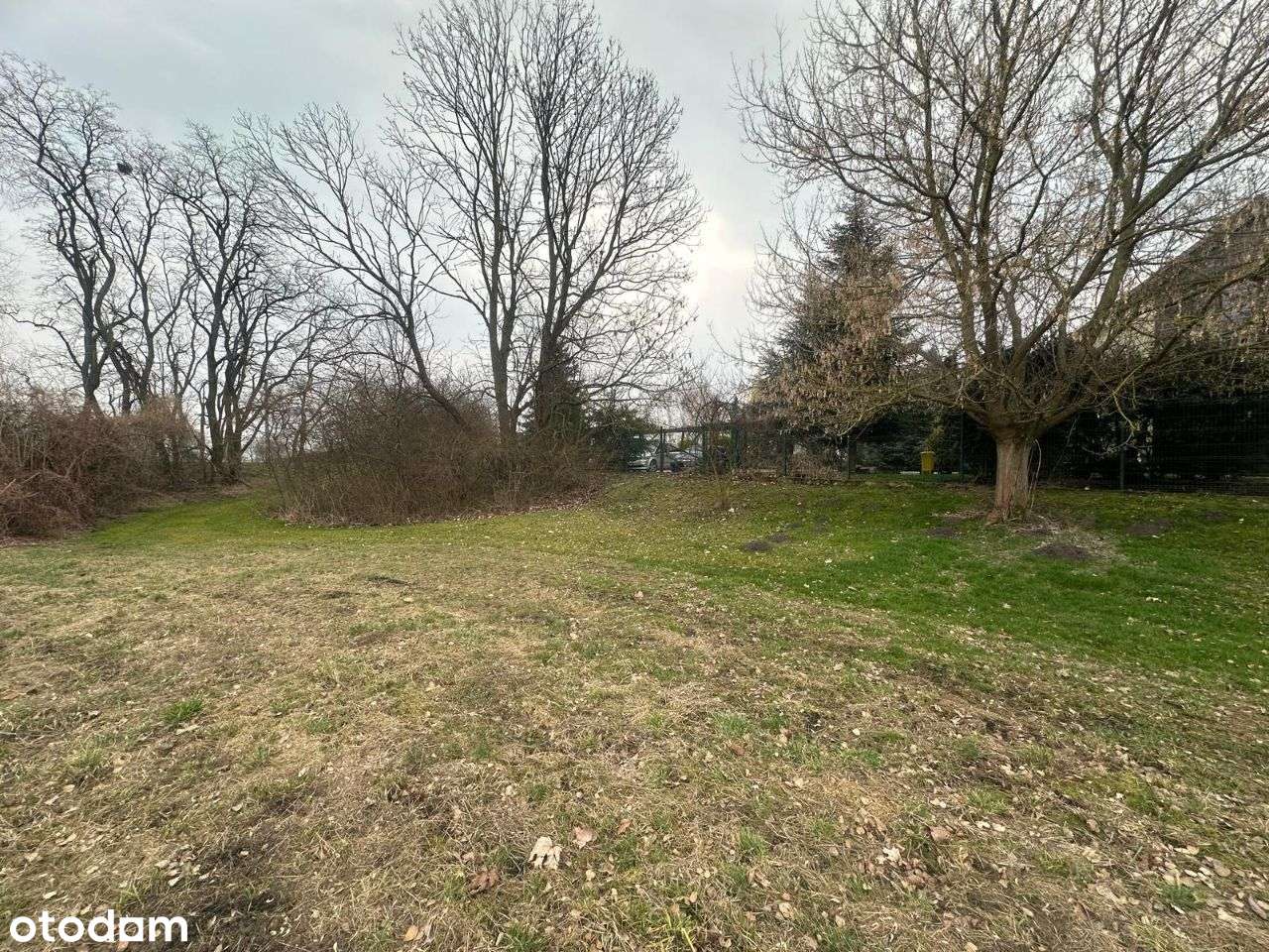 Budowlano-Rolna dzialka obok lasu/blisko Wrocław-4