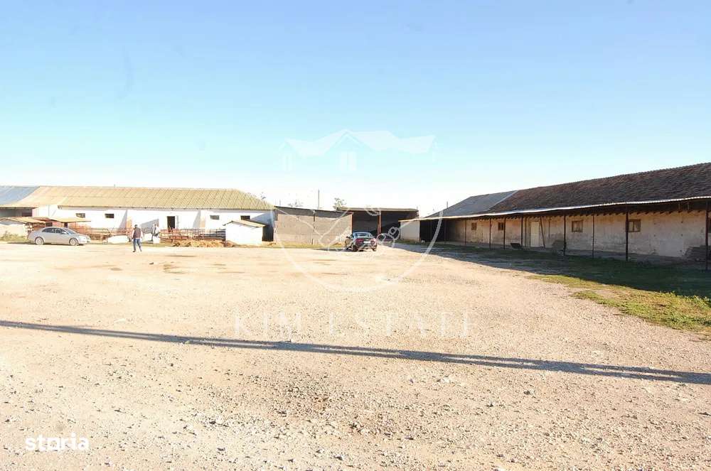 De vanzare ferma N.Balcescu-5