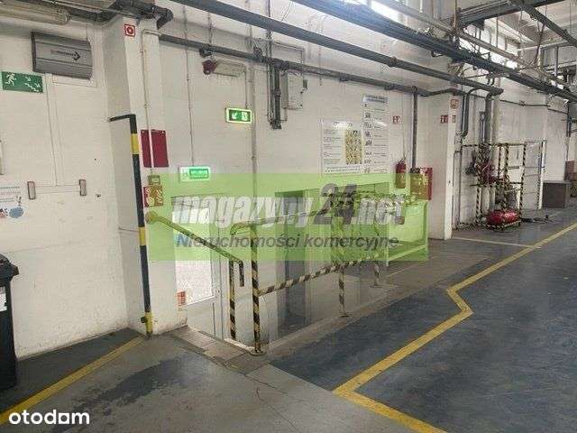 Hala produkcyjna do wynajęcia powiat pabianicki - Pełny obrazek: 4/10