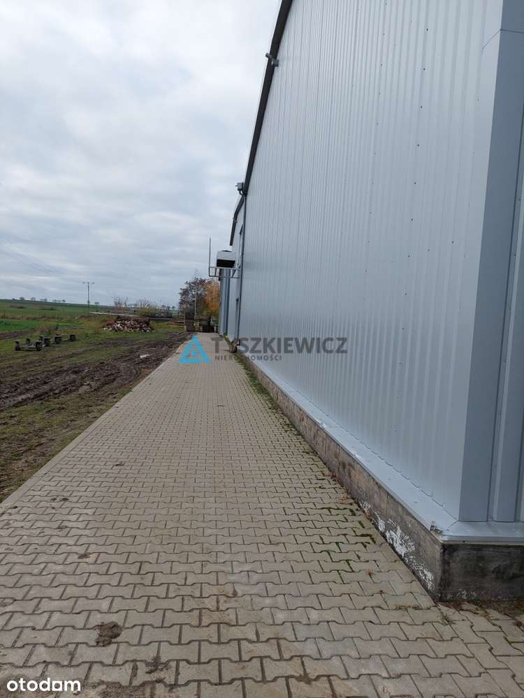 Hala magazynowa z chłodniami - Pełny obrazek: 4/20