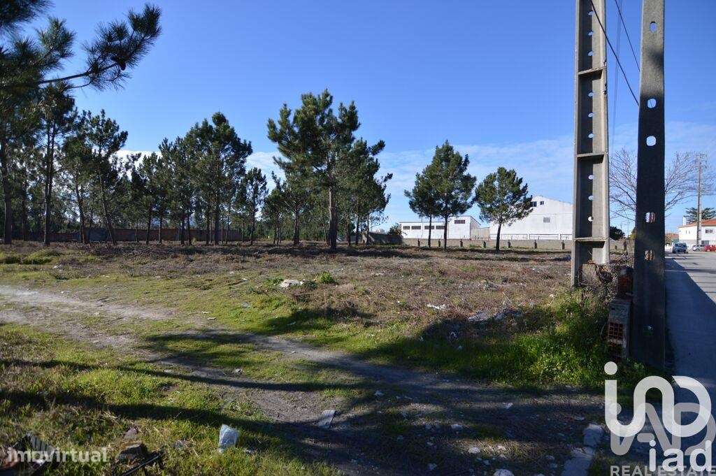 Terreno para construção em Marinha Grande - Grande imagem: 2/4