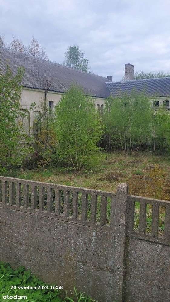 Działka, 4 868 m², Recz-7