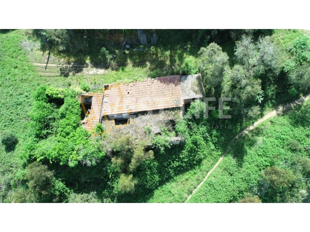 Armazéns Agrícolas e Casa de Habitação inseridos em Terreno Rústico... - Grande imagem: 1/22