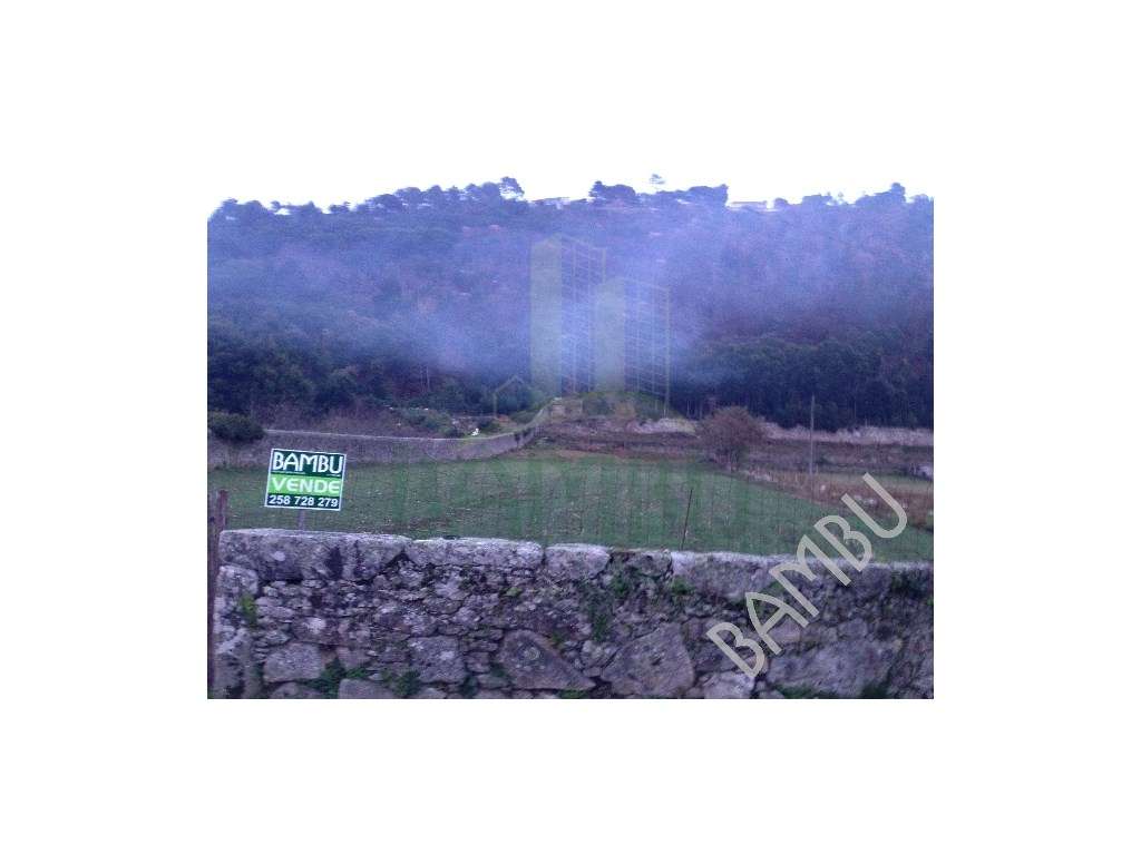 Terreno Rústico em Cristelo - Grande imagem: 3/5