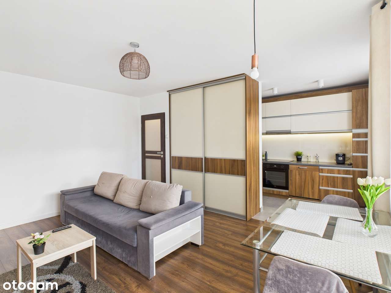 Przestronne 2 pokoje + kuchnia przy Parku! Czyżyny!-3