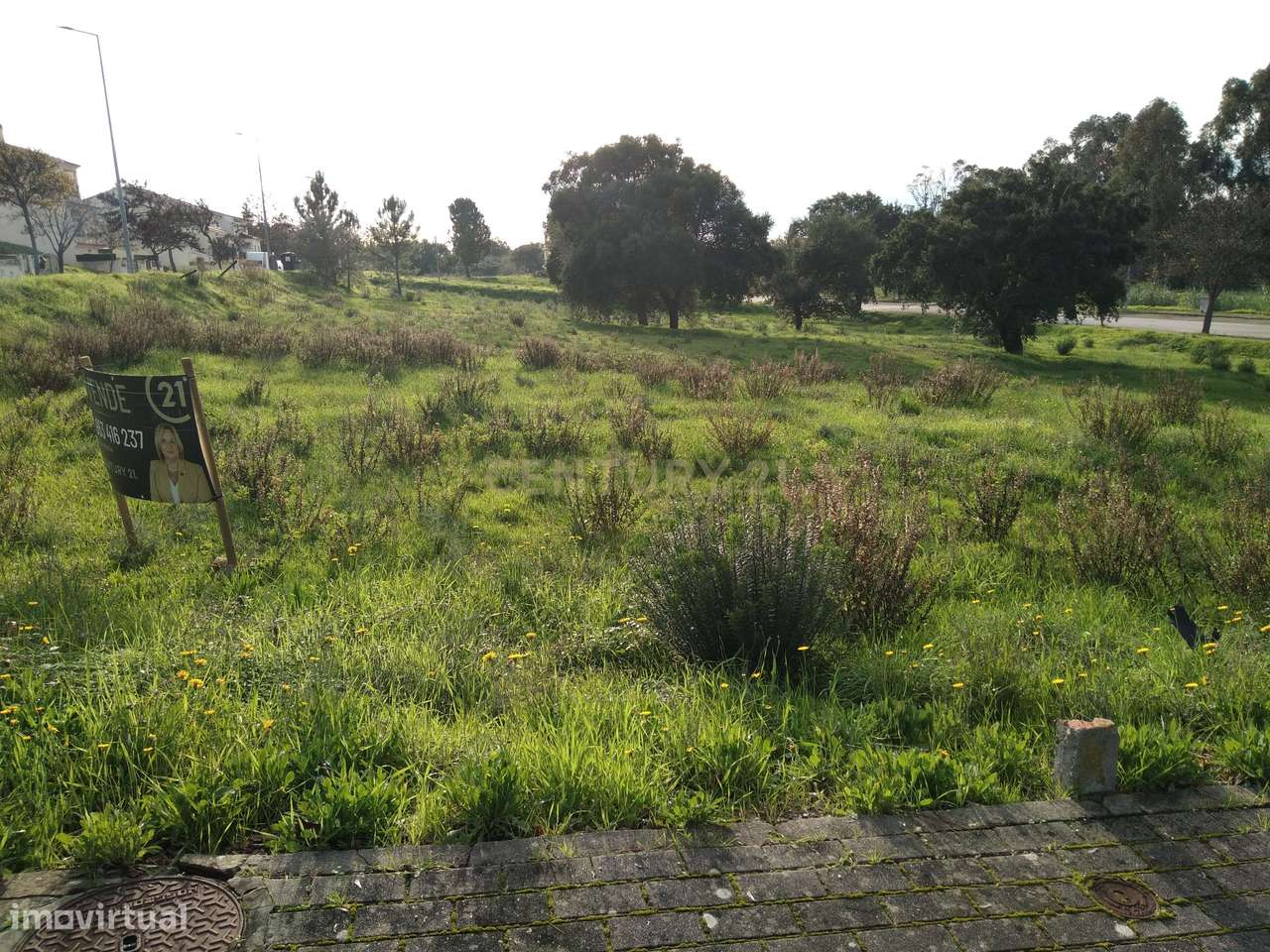 Lote para Moradia - Casal Vidigal - Entroncamento - Grande imagem: 5/6