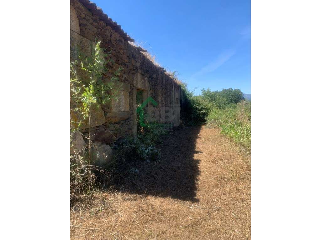 Quintinha - Grande imagem: 2/11