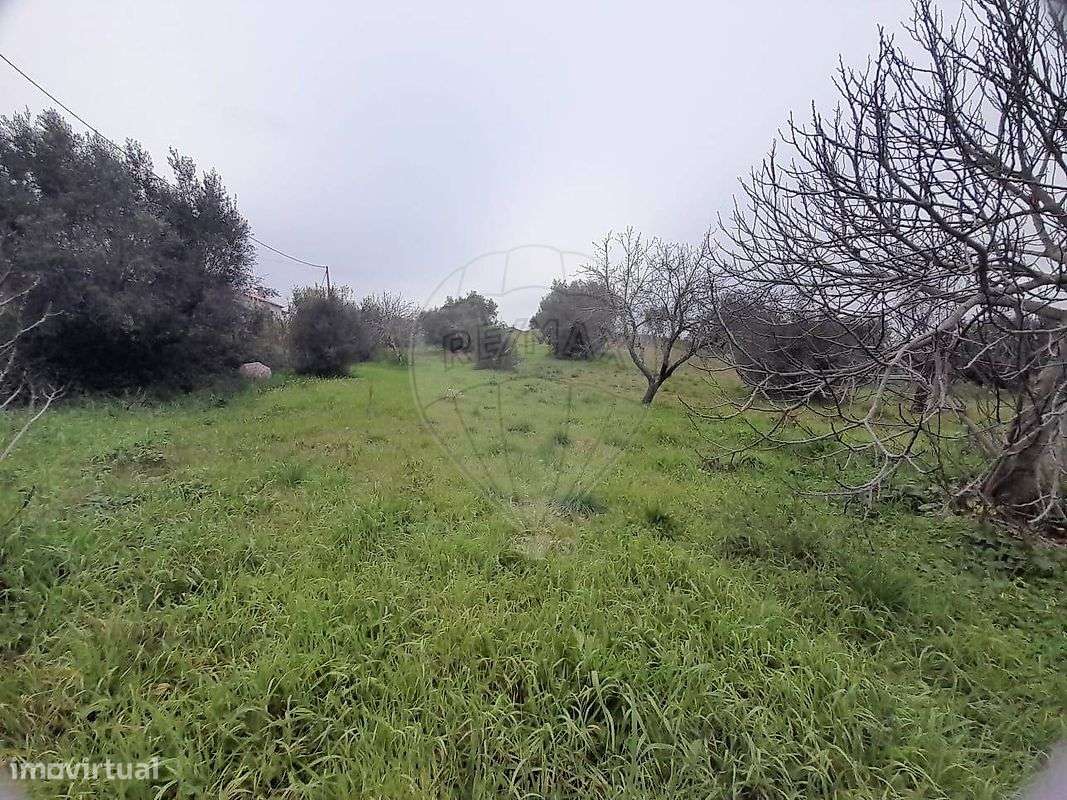 Terreno  para venda - Grande imagem: 2/20