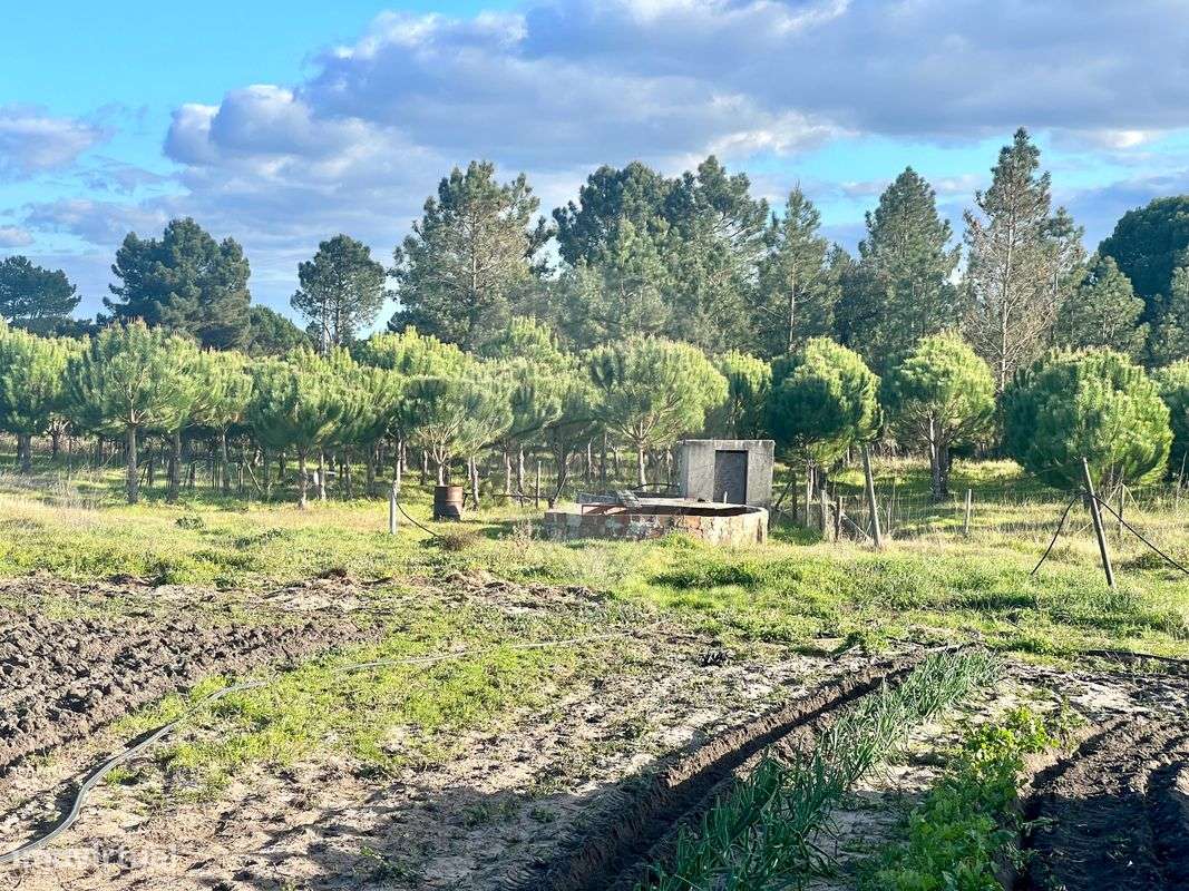 Terreno  para venda - Grande imagem: 5/12