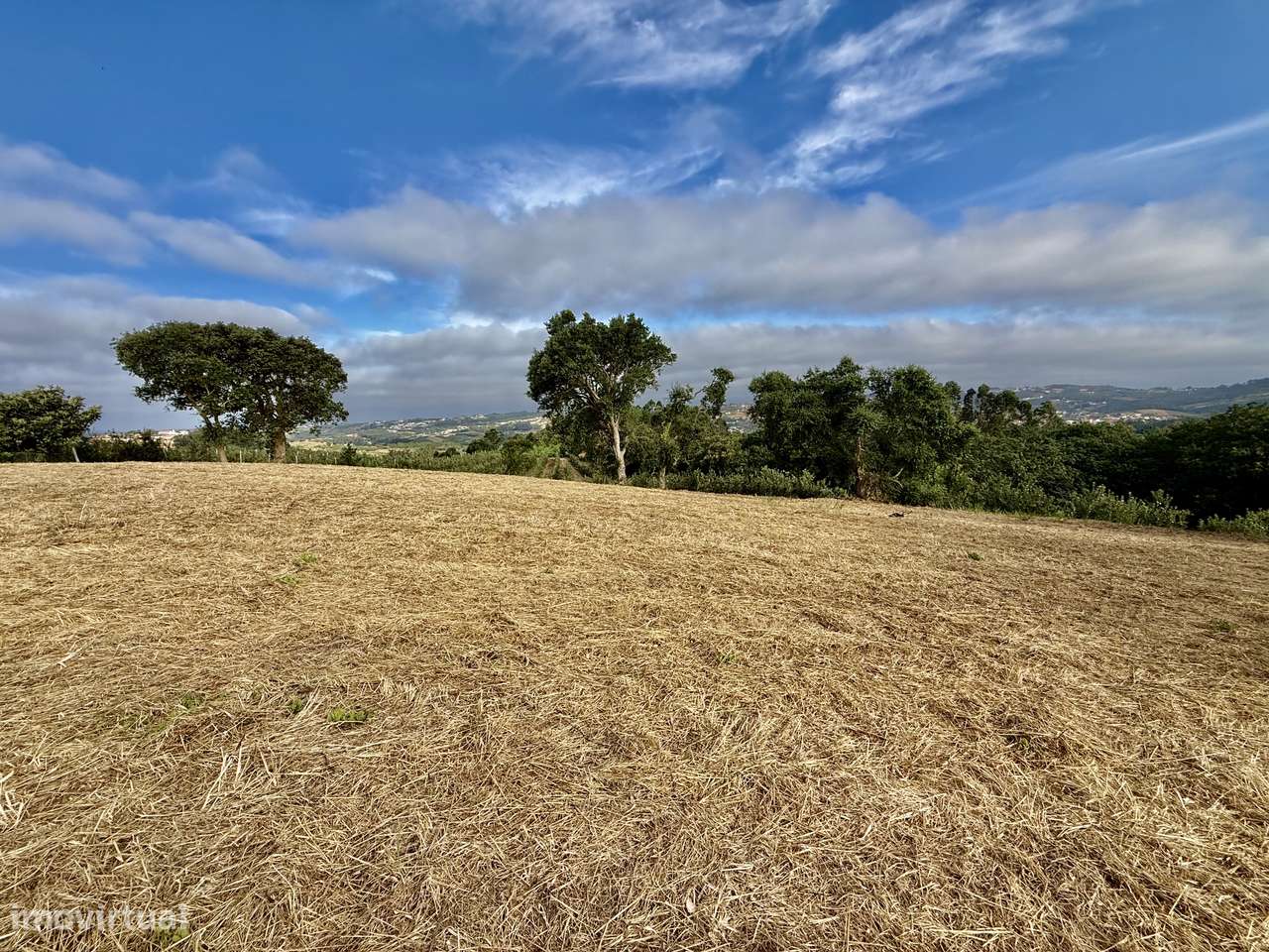 Terreno com vista panorâmica de campo - a 15 min São Martinho do Porto-7
