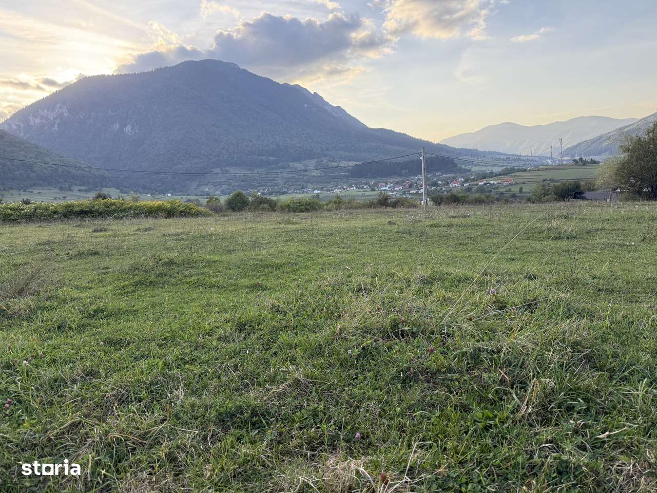 Teren intravilan 500 sau 1000 mp Bran-Tohanita la dum asfaltat-11