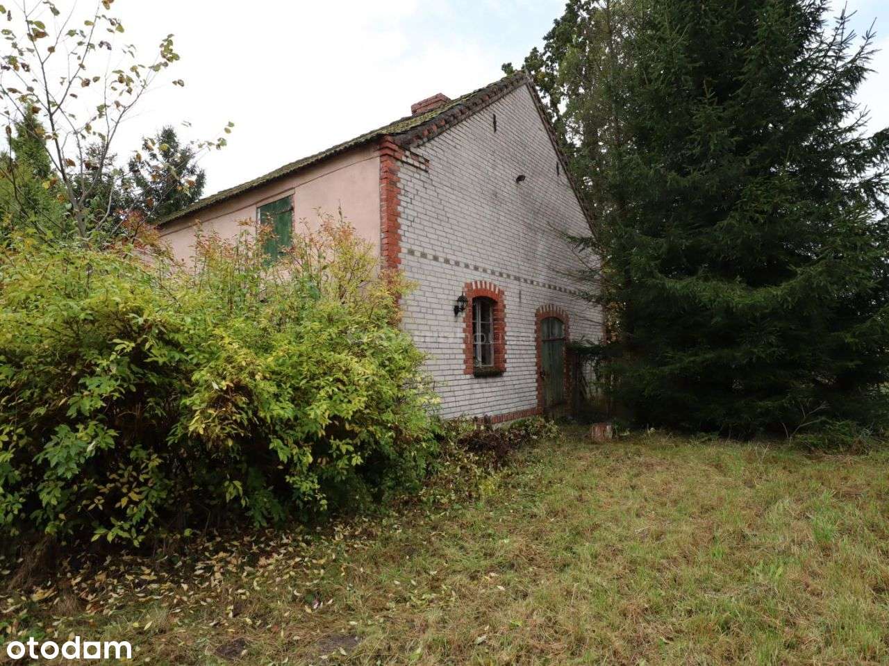 Dom na dużej działce pod Tychowem - Pełny obrazek: 4/17