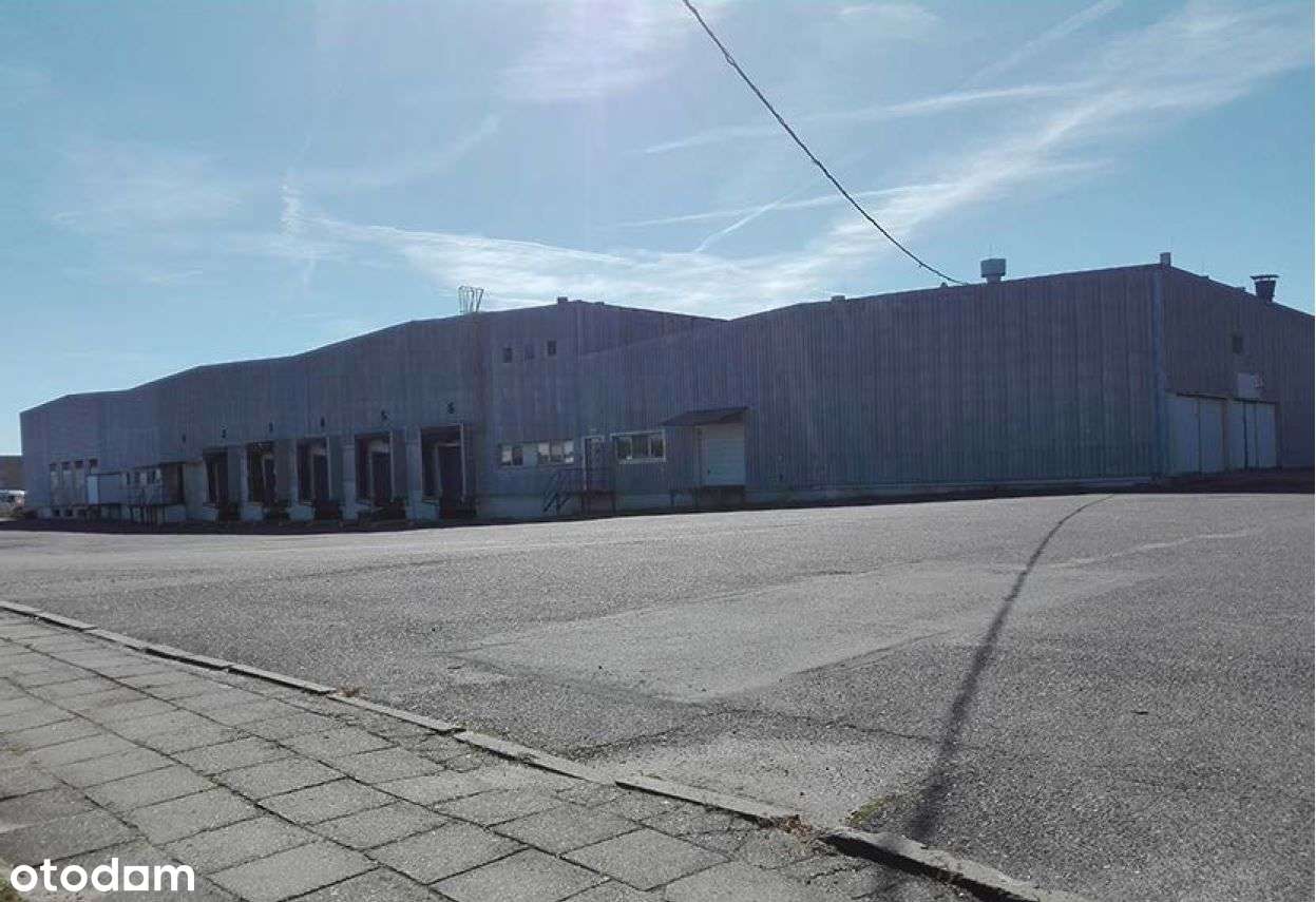 [ Świebodzin ] magazynowanie i produkcja 18 000 m2 - Pełny obrazek: 4/4