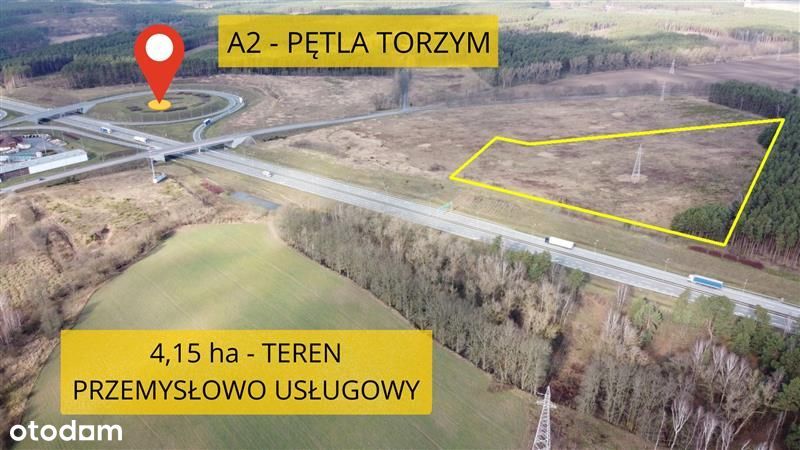 Torzym - działka przy węźle autostrady A2