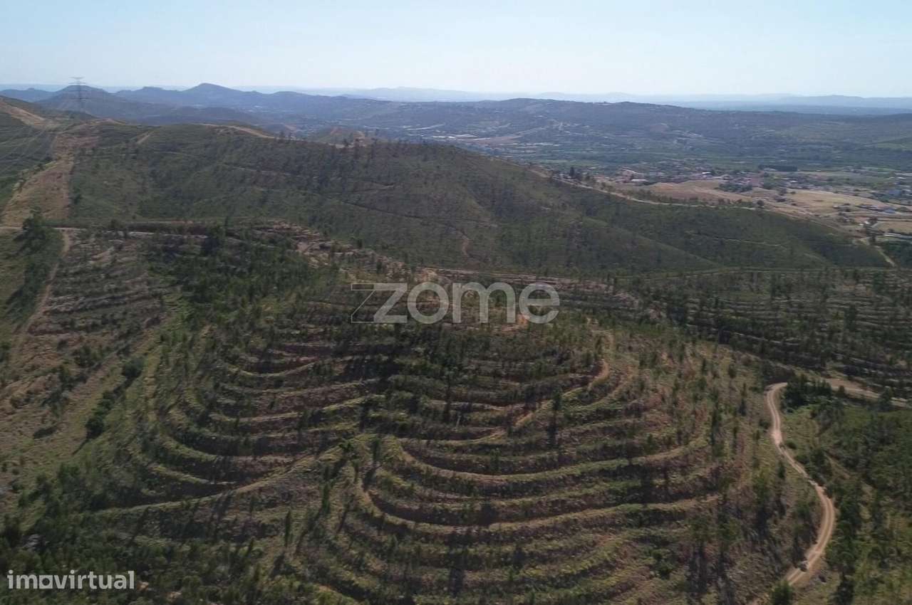 Moradia em Ruina com 86ha de Terreno, em Silves - Grande imagem: 5/15
