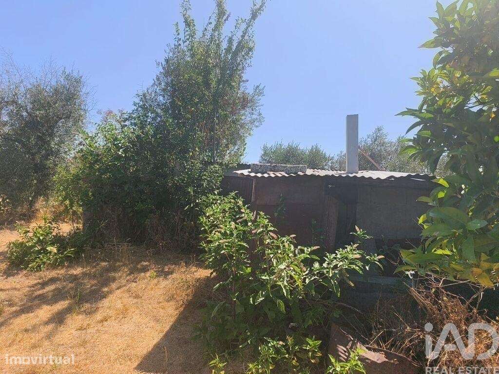 Casa / Villa em Travancinha de 157,00 m2 - Grande imagem: 5/21