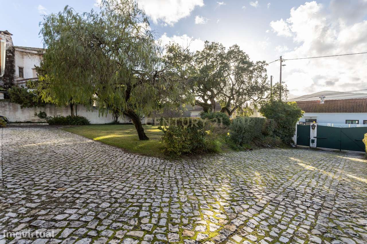 Moradia T4 + Apartamento T1, Piscina de Água Salgada – Zona Premium  S - Grande imagem: 4/60