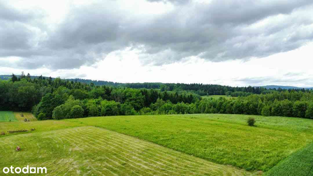 Widokowa działka na Pogórzu Dynowskim-2