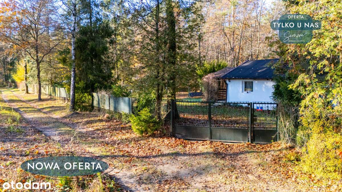 Dom w lesie-7