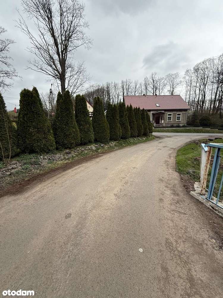 Działka z warunkami zabudowy - las, dostęp do drogi. Inwestycja.-6