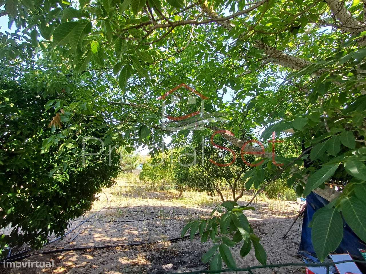 Moradia T4 em Quintinha - Palmela-16