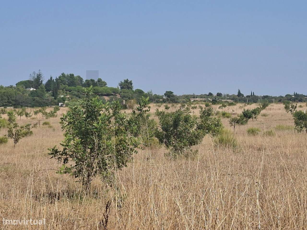 Propriedade agrícola com 78.640 m2 em Vale da Lama, Odiáxere.-17