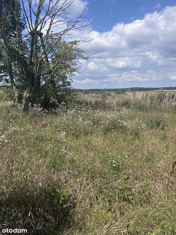 Działka 1606 m² w spokojnej lokalizacji - Pełny obrazek: 4/13