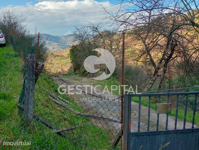 Oportunidade Única: Quinta para Habitação, Turismo ou Agricultura em M-3