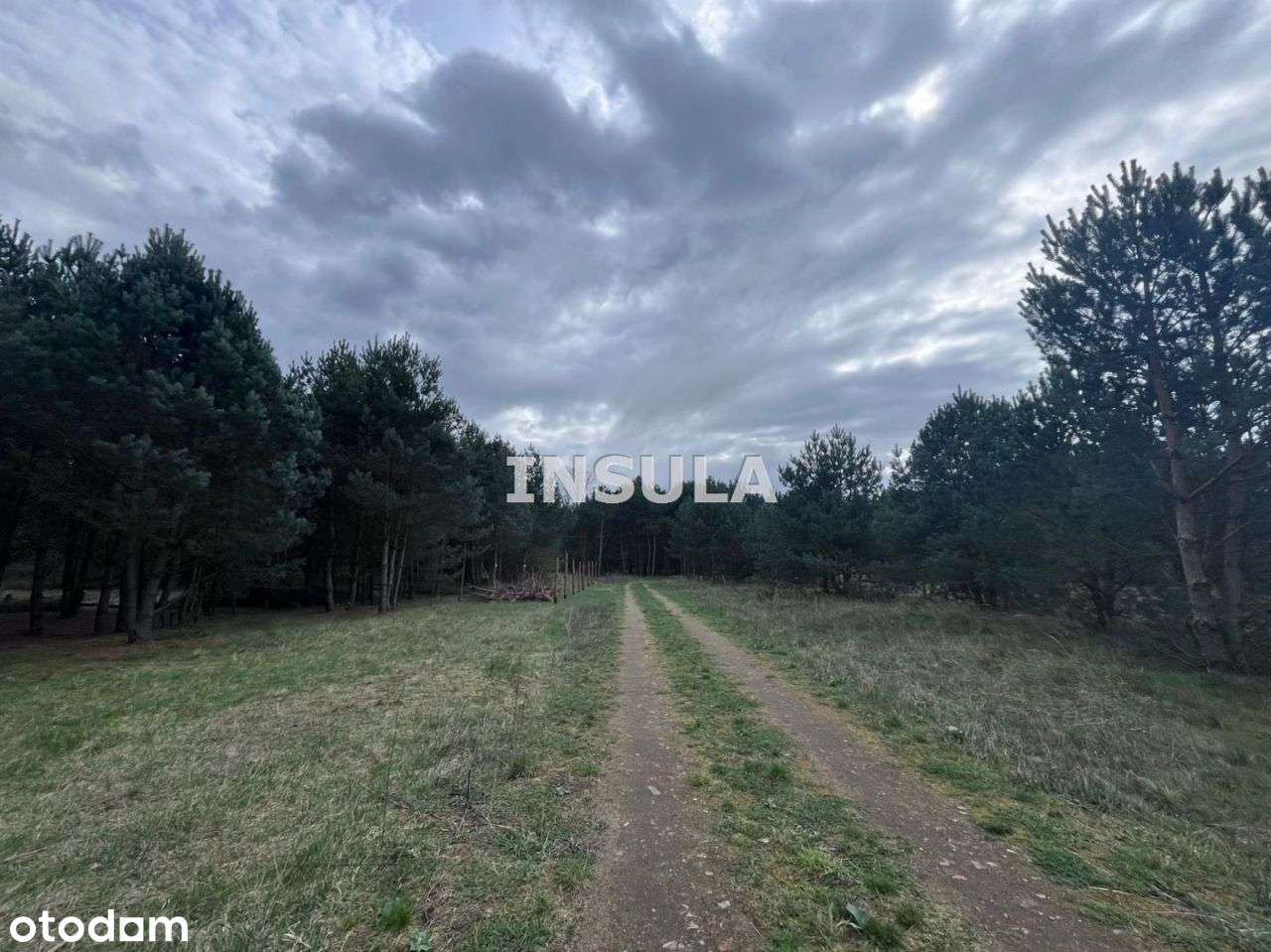 Działka w pobliżu lasów - Czeszów-3